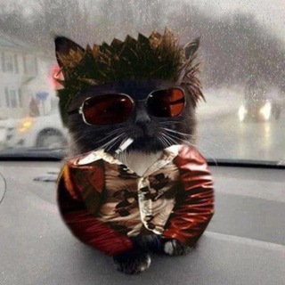 Telegram profile photo for mem shithole worldwide incorporated