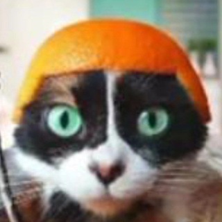 Telegram profile photo for валун олег уже не тот