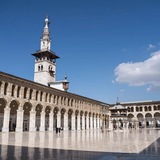 Telegram profile photo for أبو محمد الشامي (مهملة)