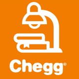 Telegram profile photo for Chegg family