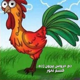Telegram profile photo for دم خروس