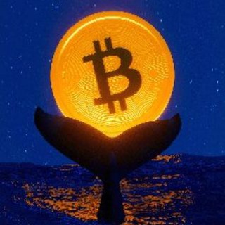 Telegram profile photo for صرافی ارز دیجیتال غیر متمرکز د ترو ترید |Thetruetrade.io
