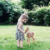 Telegram profile photo for Photo
