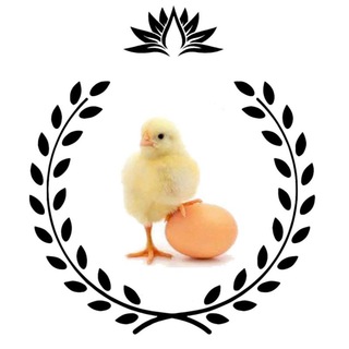 Telegram profile photo for بازارجوجه سید
