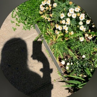 Telegram profile photo for ☽︎ نیمهٔ پنهان ☾︎