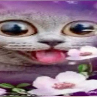 Telegram profile photo for Ежовник лол