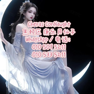 Telegram profile photo for Cheras月仙子频道