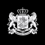 Telegram profile photo for Газета «Правая Россия» | резерв