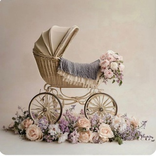 Telegram profile photo for Аренда/Прокат колясок, кроваток. Stroller rental. Нячанг