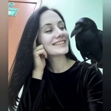 Telegram profile photo for Строчу как хочу
