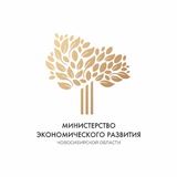 Telegram profile photo for Поддержка экономики НСО