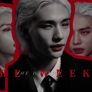 Telegram profile photo for 𝐓𝐇𝐄 𝐖𝐄𝐄𝐊𝐍𝐃