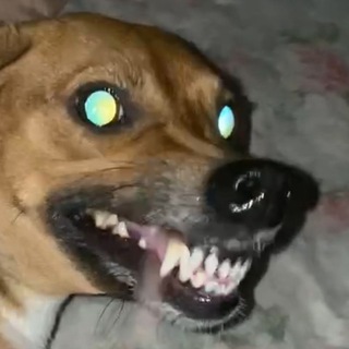 Telegram profile photo for Голос сверху