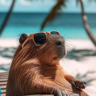 Telegram group profile photo for ПИАР-ЧАТ|Palm Beach ПРОСМОТРЫ ПУБЛИКАЦИЙ