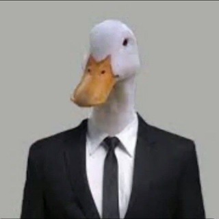 Telegram profile photo for Acolyte channel yes