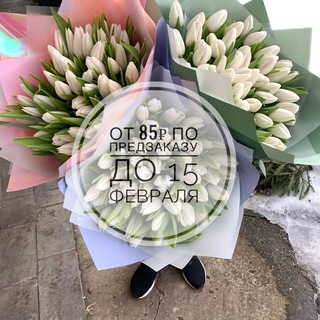 Telegram profile photo for Тюльпаны•Балашиха•Москва•М.О