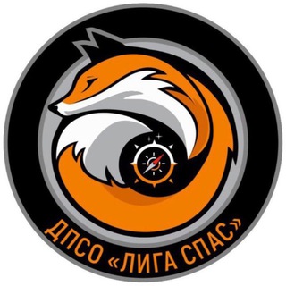 Telegram profile photo for ДПСО «Лига Спас»