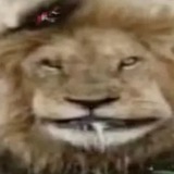 Telegram profile photo for Смерть в нищите