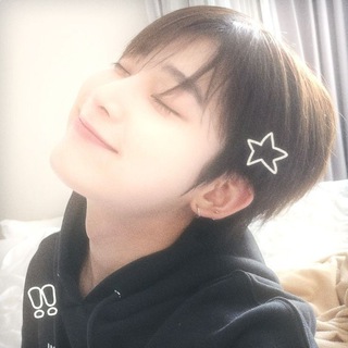Telegram profile photo for シャイン with cats :з