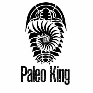 Telegram profile photo for Paleo King окаменелости
