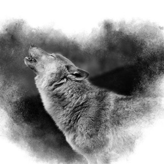 Telegram profile photo for Live_with_Wolves