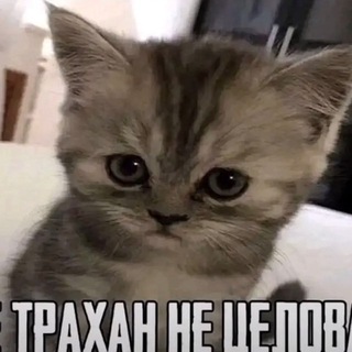 Telegram profile photo for да в пизду все ваши эти как говорится