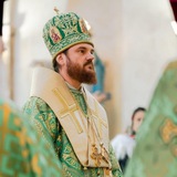 Telegram profile photo for Caută la rădăcini 🌿