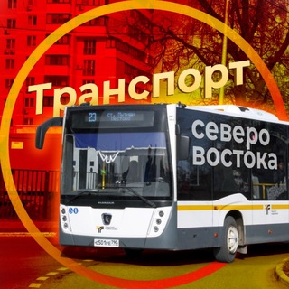 Telegram profile photo for Автобусы и рельсы: северо-восток