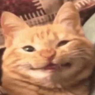 Telegram profile photo for смешнючий