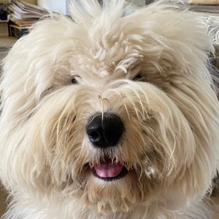 Telegram profile photo for Quantum_Digitized_Cozy