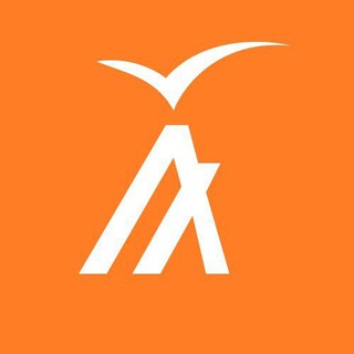 Telegram profile photo for Algobird
