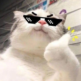 Telegram profile photo for Mewho??????