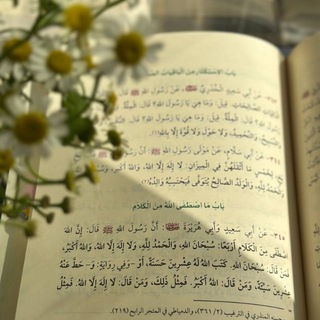 Telegram profile photo for وَعَجِلۡتُ إِلَیۡكَ رَبِّ لِتَرۡضَىٰ 🌱☁️