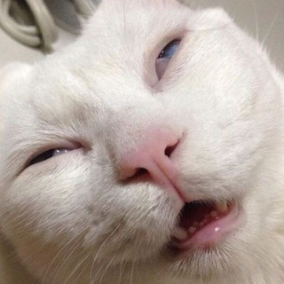 Telegram profile photo for ЗАСМЕЯЛСЯ - ПРОИГРАЛ
