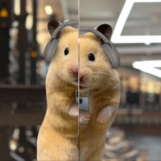 Telegram profile photo for сумує і какає