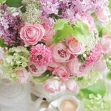 Telegram profile photo for اثار و فوائد سنية