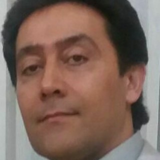 Telegram profile photo for بابک ارباب خسرو(کبوتر)