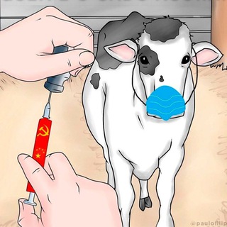 Telegram profile photo for Covid Vacina 💉 experimental de modificação genética 🧬 compulsória❗ e suas vítimas ⚰️