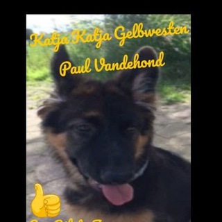 Telegram profile photo for Katja katja gelbwesten🇩🇪🇦🇹🇨🇭🇳🇱🇫🇷🇧🇪