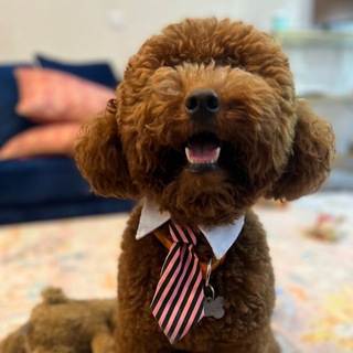 Telegram profile photo for Dali ๐