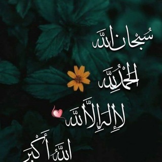 Telegram profile photo for اعدادية الاصالة للبنات/ اللطيفية