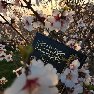 Telegram profile photo for دُلْجَةٌ🍃
