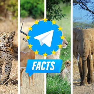 Telegram profile photo for Facts about animals on Telegram - Fatti sugli animali - Faits sur les animaux - Hechos sobre animales - Fakten über Tiere