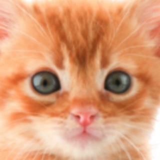 Telegram profile photo for makiqwarta#136`