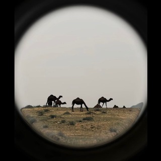 Telegram profile photo for مُصاب .