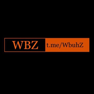 Telegram profile photo for WBZ (We are Brothers Z)