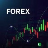 Telegram profile photo for BalkhPlus Forex