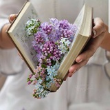 Telegram profile photo for Между строк ✨💜 видеть больше