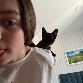 Telegram profile photo for Виктис убежищо