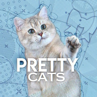Telegram profile photo for 𝐩𝐫𝐞𝐭𝐭𝐲 𝐜𝐚𝐭𝐬